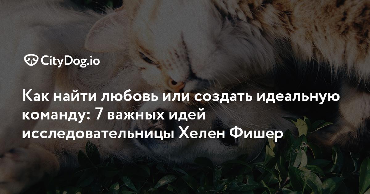 Дизайн-проект ванной комнаты (60 фото пояснения) 851 Дизайн-проект ванной комнаты (60 фото пояснения) 621