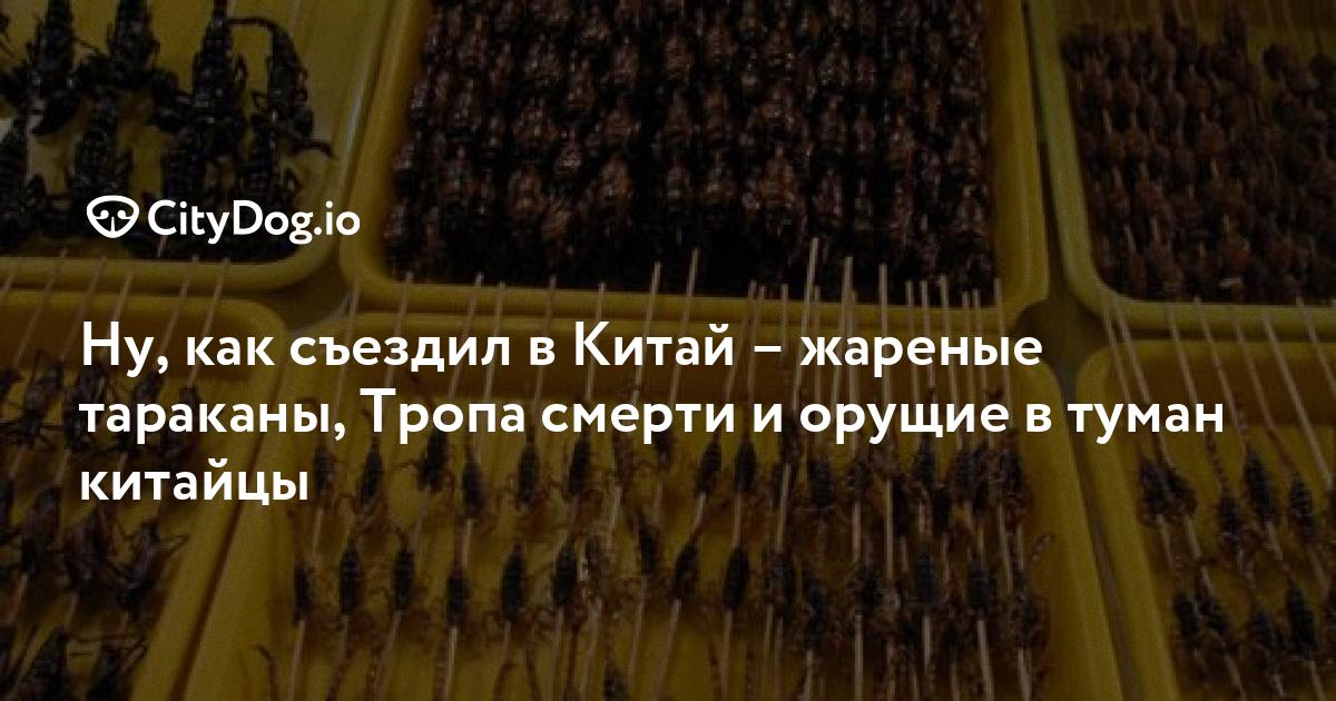 Друг вокруг секс большим тропом — 7