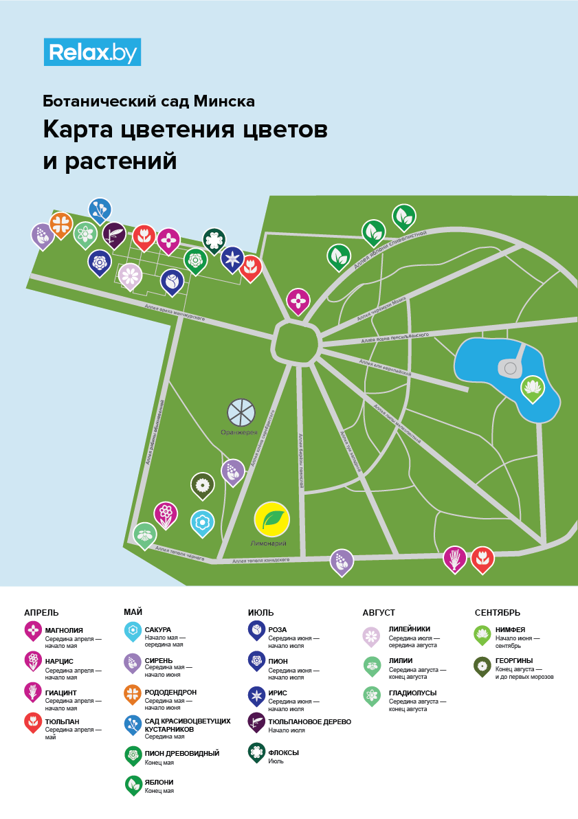 Карта садов минска. План ботанического сада в Минске. Ботаничеакий СКД Минск схема. Схема ботанического сада в Минске. Ботанический сад СПБ схема сада.