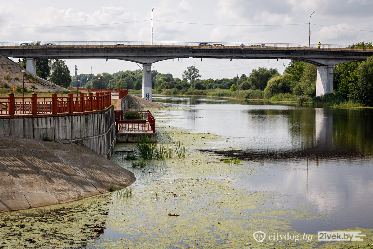 код кобрина в белоруссии. IMG 9882. код кобрина в белоруссии фото. код кобрина в белоруссии-IMG 9882. картинка код кобрина в белоруссии. картинка IMG 9882. Брест ( 0 ) 162 ххххххБарановичи ( 0 ) 163 хххххх Береза ( 0 ) 1643 ххххх Ганцевичи ( 0 ) 1646 ххххх Дрогичин ( 0 ) 1644 ххххх Жабинка ( 0 ) 1641 ххххх Иваново ( 0 ) 1652 xxxxx Ивацевичи ( 0 ) 1645 xxxxx Каменец ( 0 ) 1631 xxxxx Кобрин ( 0 ) 1642 xxxxx Лунинец ( 0 ) 1647 xxxxx Ляховичи ( 0 ) 1633 xxxxx Малорита ( 0 ) 1651 xxxxx Пинск ( 0 ) 165 xxxxxx Пружаны ( 0 ) 1632 xxxxx Столин ( 0 ) 1655 xxxxx